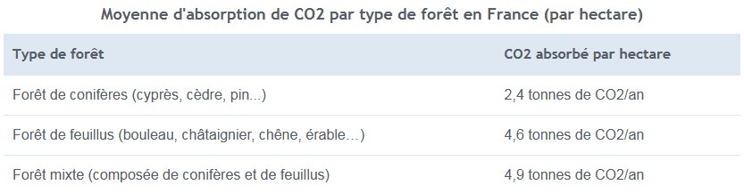type foret co2