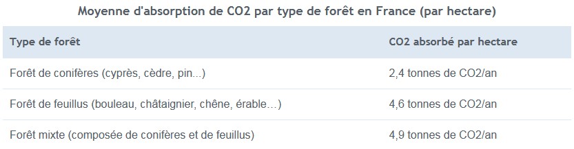 type foret co2