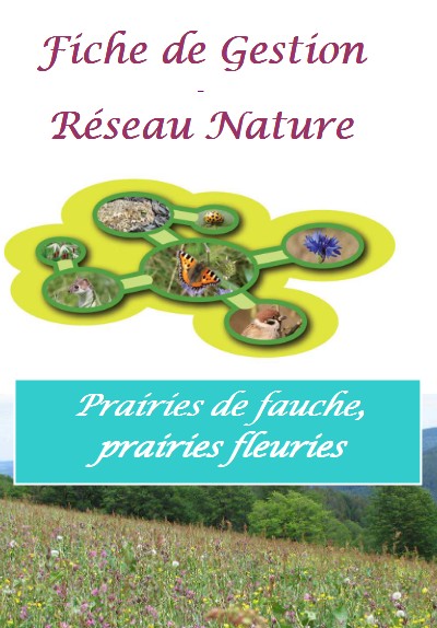 fiche gestion prairies de fauche